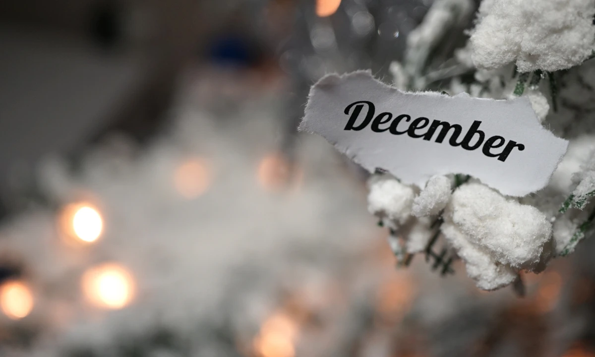 Close up of a snow covered Christmas tree and the word December